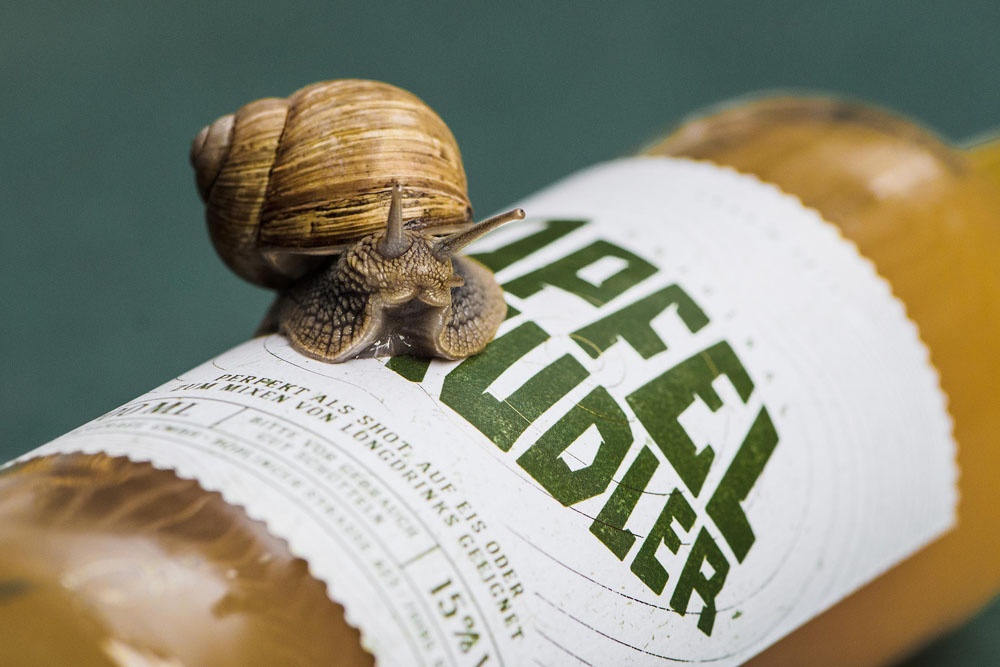 高端品牌logo設計