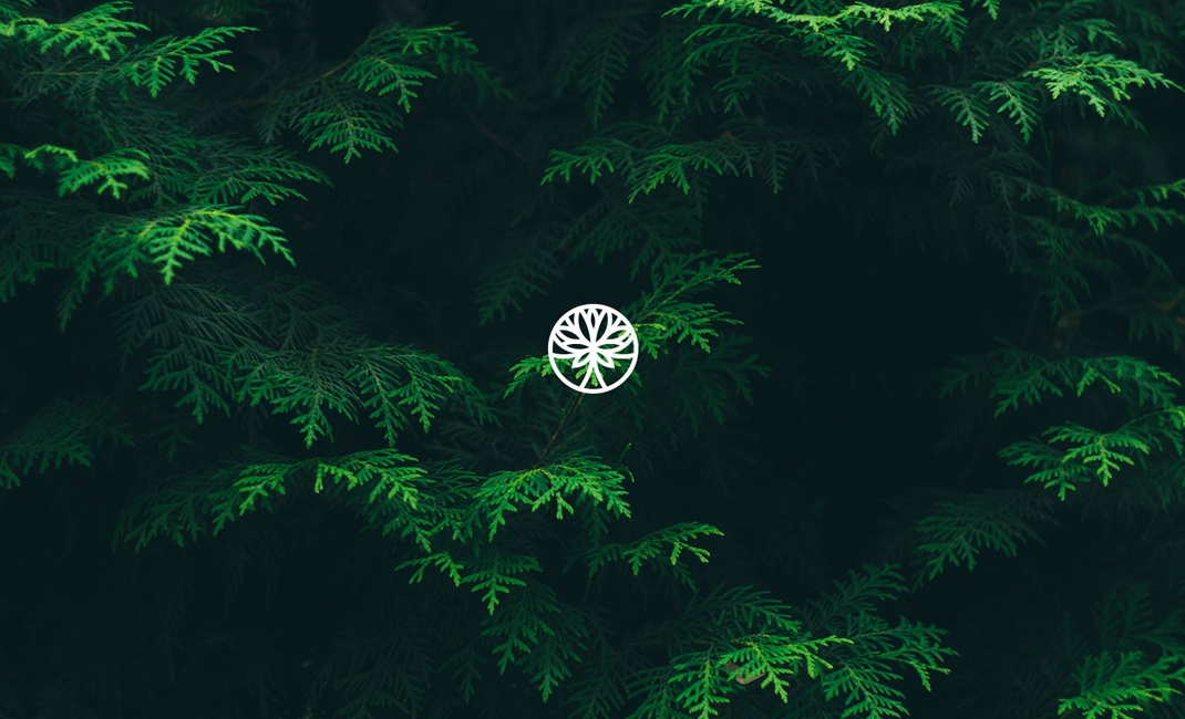 國外logo設計大全 國外logo設計大全