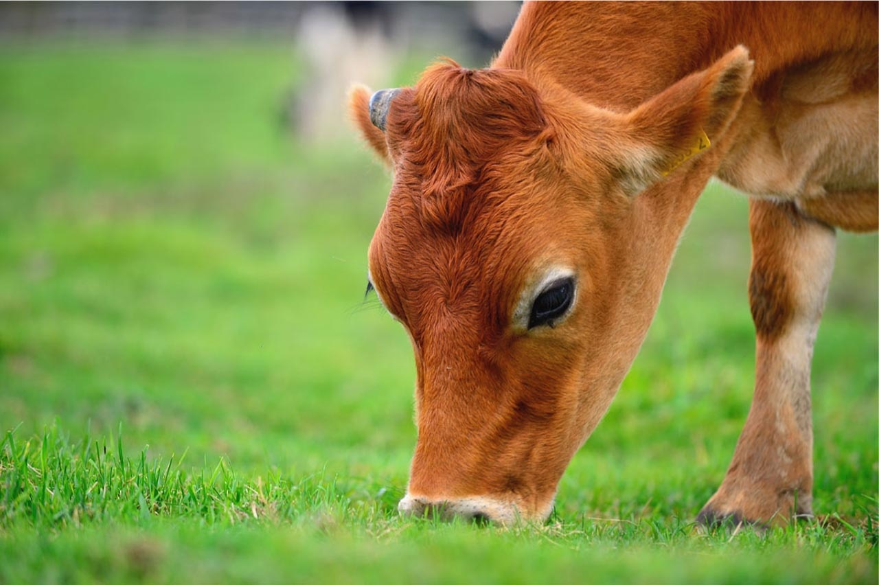 包裝設(shè)計 包裝設(shè)計