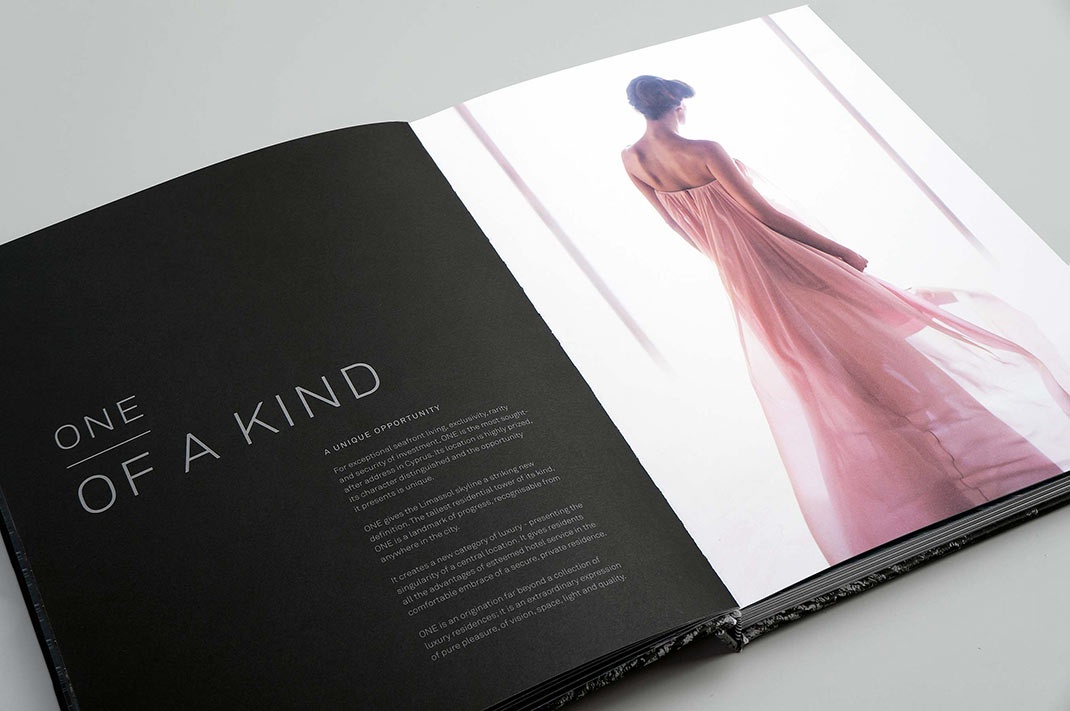 ONE品牌VI形象設計欣賞