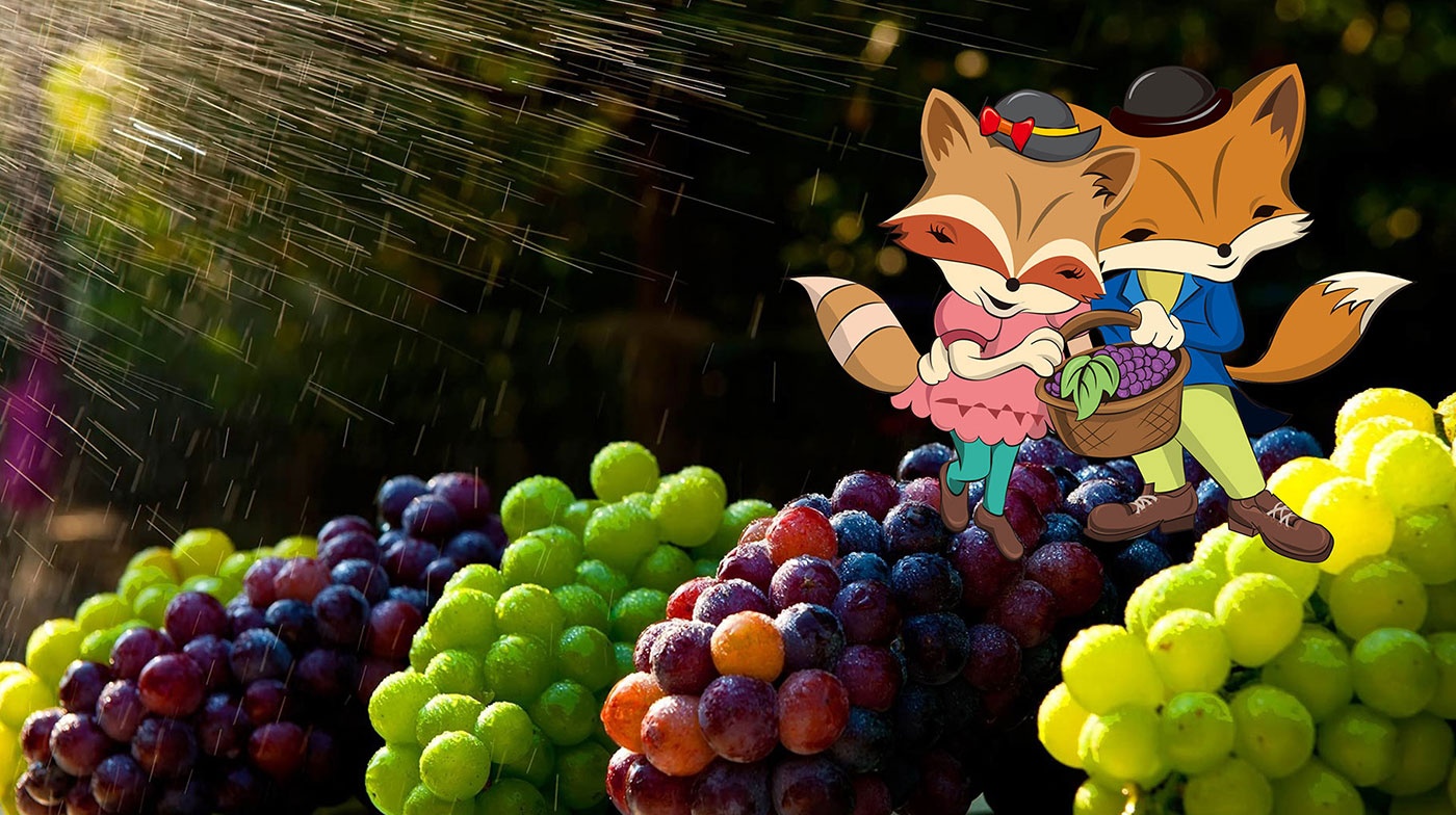 1575604099445778.jpg 105.jpg